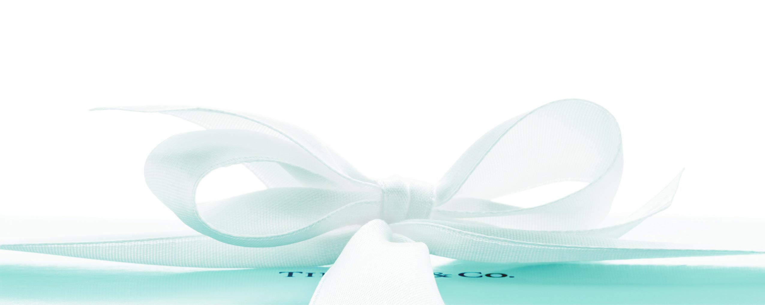 the world of tiffany tiffany co